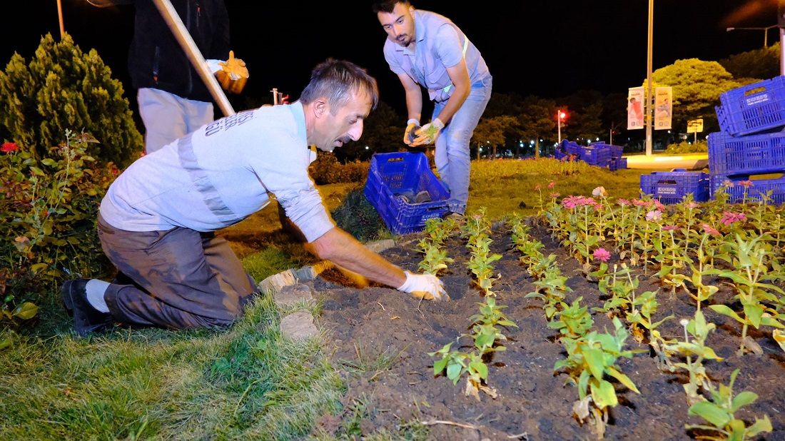 Erzincan Belediyesi kendi ürettiği çiçeklerle kenti süslüyor