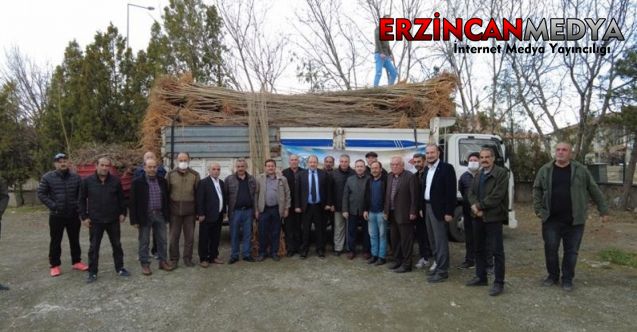 Erzincan’da 3 bin 500 adet dut fidanı dağıtıldı