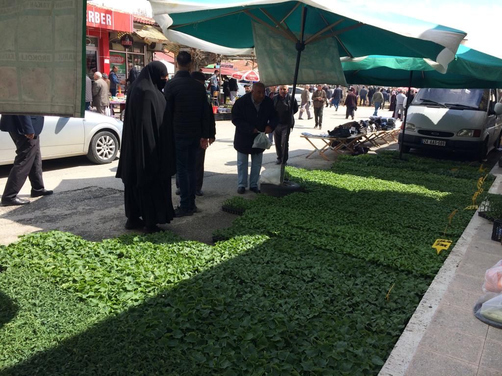 Erzincan’da İlkbaharın Gelmesiyle Sebze Fidesi Satışları Başladı