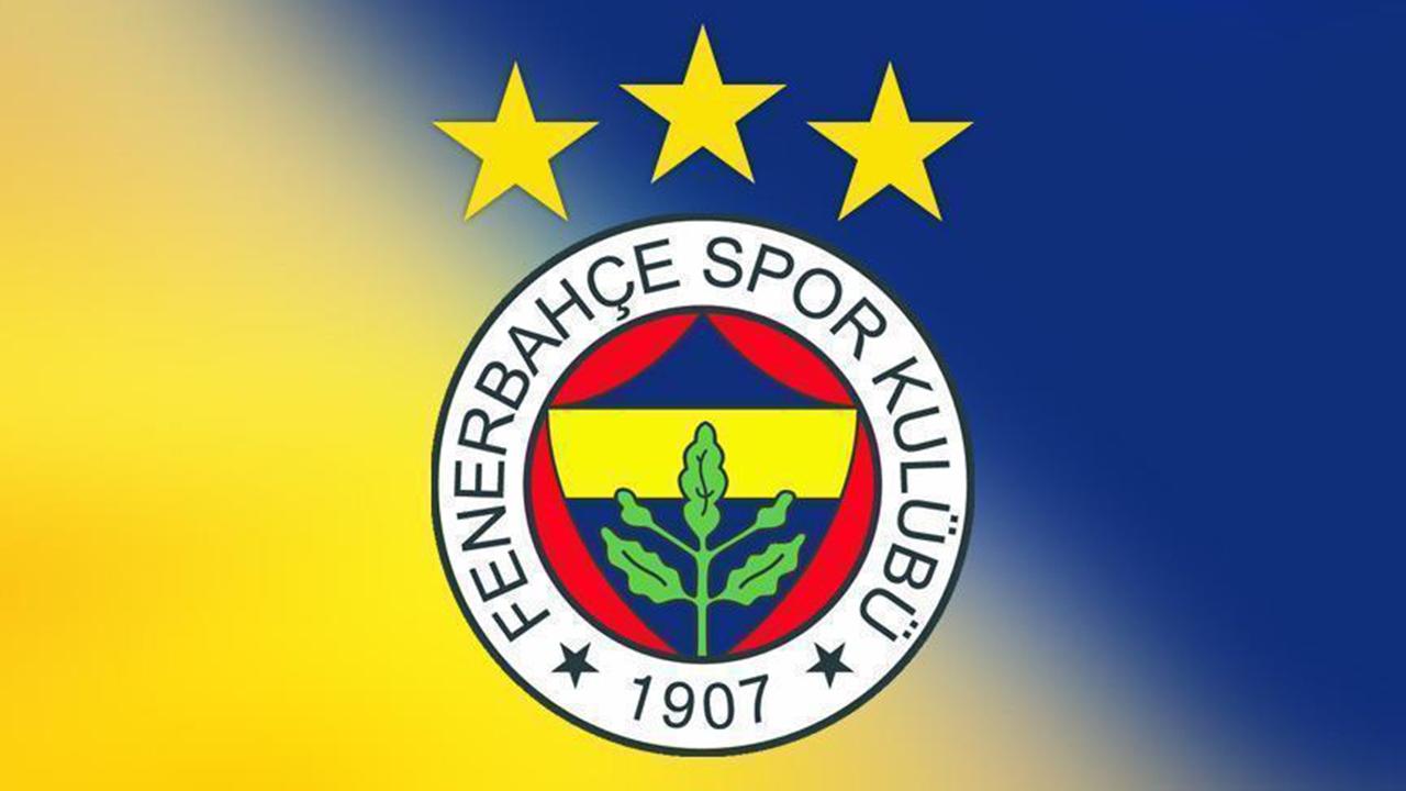 Fenerbahçe tarihi ve başarıları