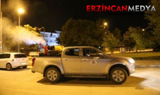 Havaların ısınmasıyla birlikte şehir genelinde mahalle, cadde ve sokaklarda sivrisinek