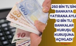 250 bin TL’sini bankaya yatırana aylık 12 bin TL ödeniyor! Bankalar yarışa girdi kuruşu kuruşuna açıklandı