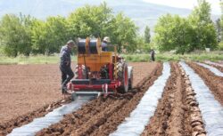 Erzincan’da sebzecilik sektörü üretimi genişliyor