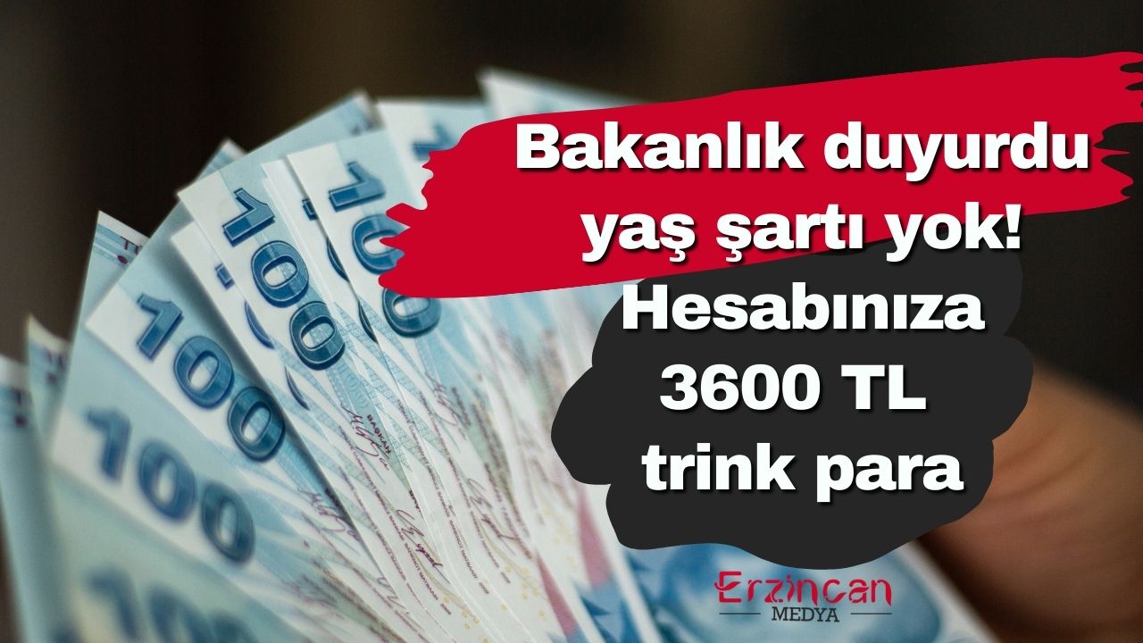 Bakanlık duyurdu yaş şartı yok! Hesabınıza 3600 TL trink para ödenecek