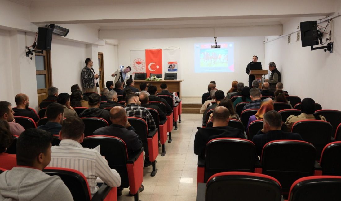 Erzincan’da büyükbaş hayvancılık sektörünün gelişmesi ve ekonomik kayıplara yol açan
