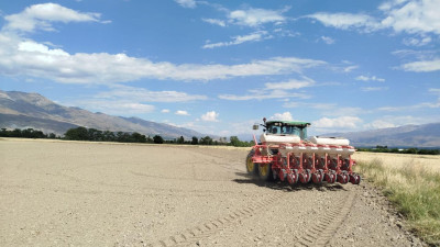 Erzincan Belediyesi mısır silajı ekimiyle yerel üreticiye destek oluyor. 100