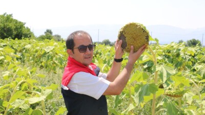 Erzincan tarım sektöründe son yıllarda hızlı bir yayılış trendine giren