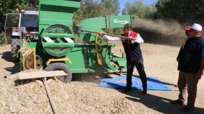 Erzincan’ın meşhur tarımsal ürünleri arasında yer alan ve sofralarda sevilerek