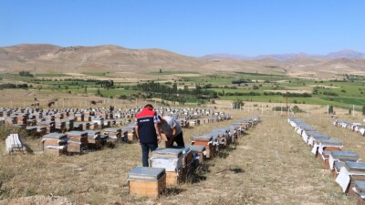 Erzincan’ın tarım sektörü önemli ürünleriyle öne çıkmaya devam ediyor.