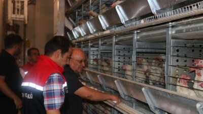 Erzincan Aydoğdu Köyü'nde 48 bin tavuk kapasiteli yumurta üretim tesisi,