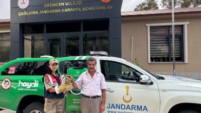Erzincan Çağlayan’da yaralı bulunan yavru şahin, jandarma ekipleri tarafından kurtarıldı.